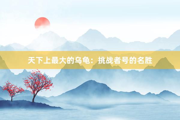 天下上最大的乌龟：挑战者号的名胜