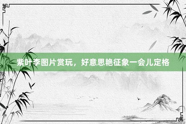 紫叶李图片赏玩，好意思艳征象一会儿定格