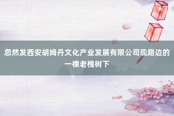 忽然发西安胡姆丹文化产业发展有限公司现路边的一棵老槐树下